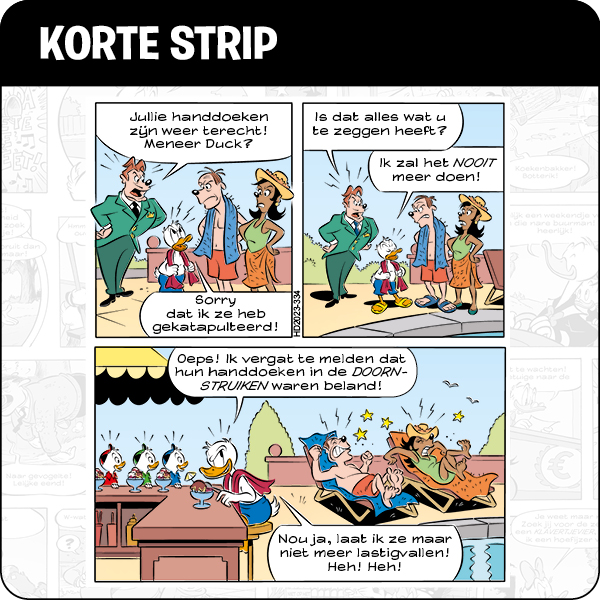 Korte Strip
