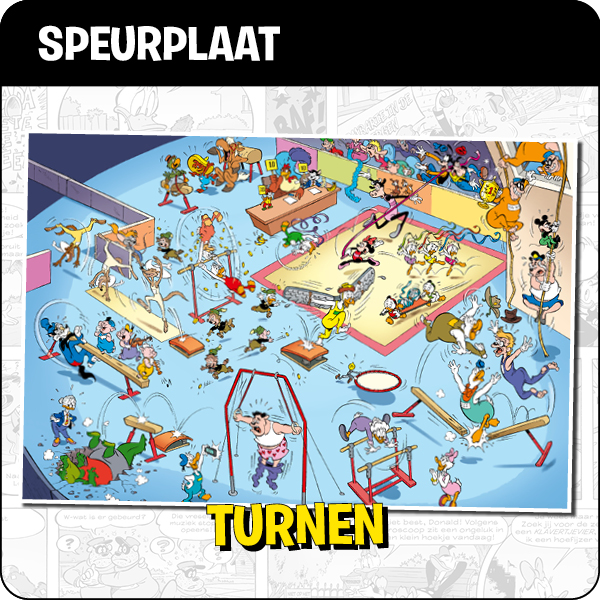 Speurplaat turnen