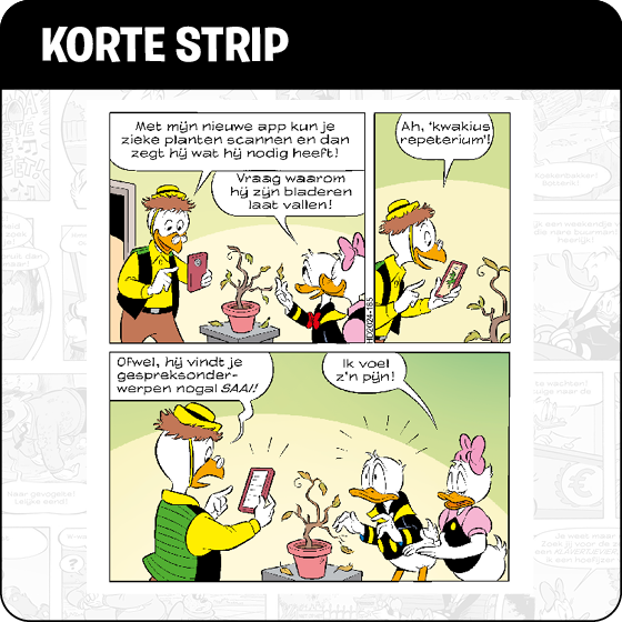 Korte strip