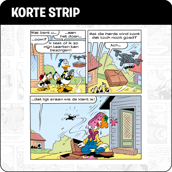 Korte strip