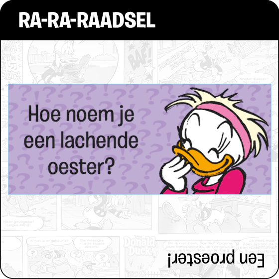 Raadsel