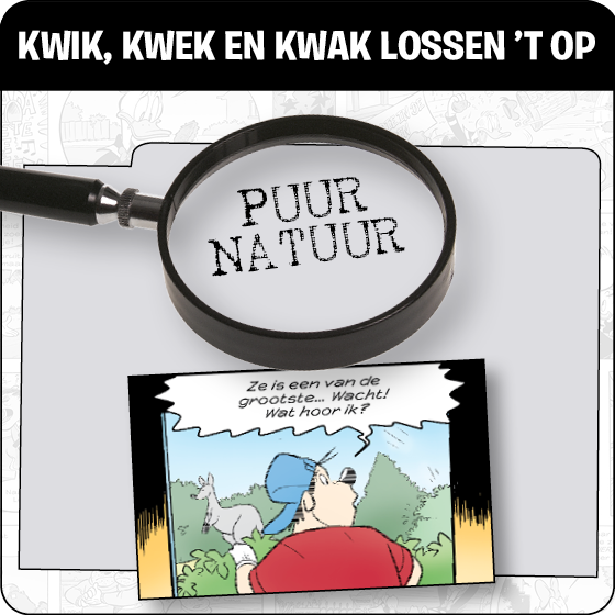 Kwik, Kwek en Kwak lossen 't op