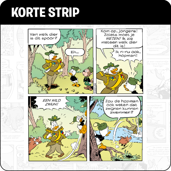 Korte strip