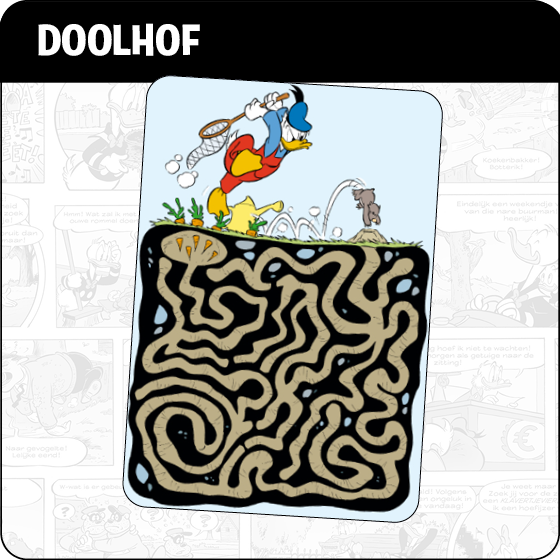 Doolhof
